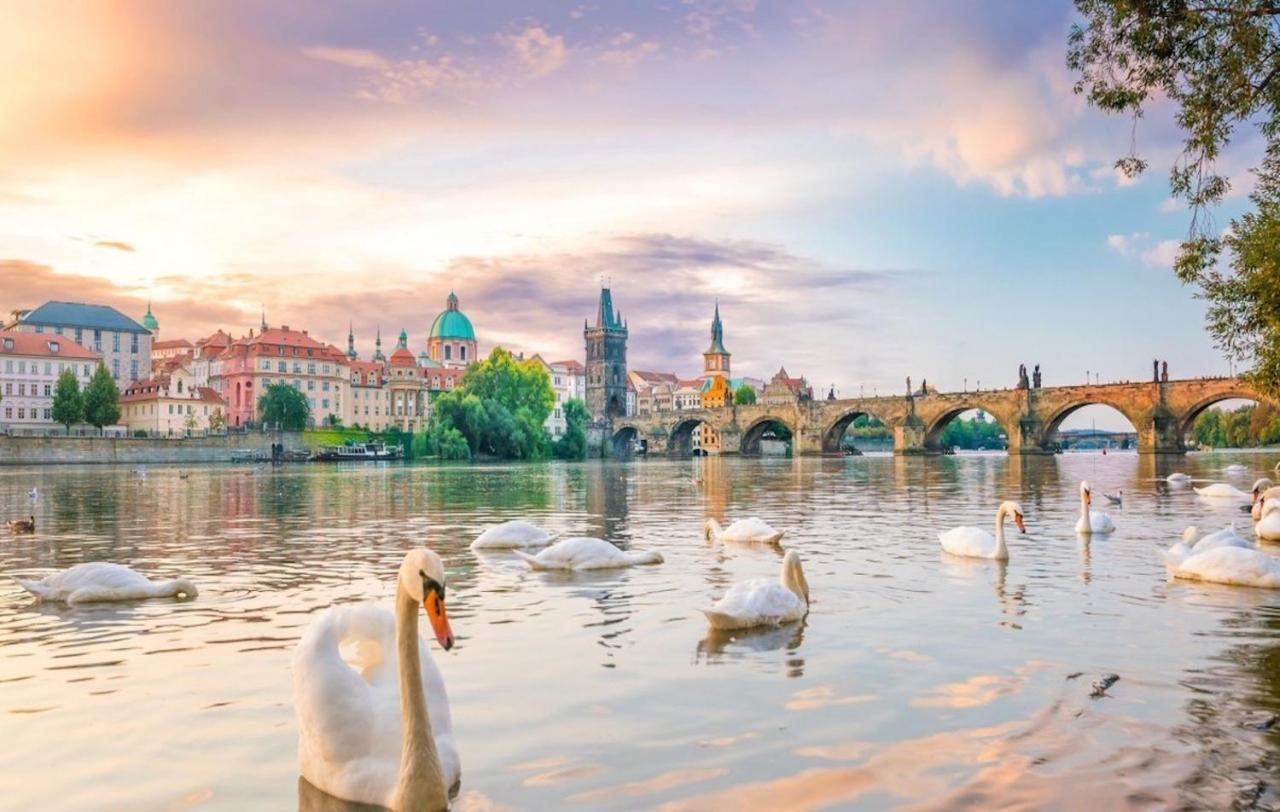 White Swan Boutique Apartments Prag Exteriör bild